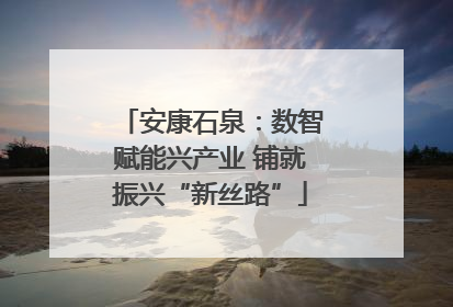 安康石泉：数智赋能兴产业 铺就振兴“新丝路”