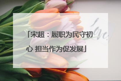 宋超：履职为民守初心 担当作为促发展