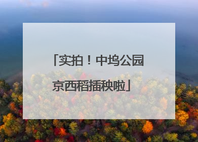 实拍！中坞公园京西稻插秧啦
