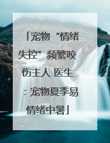 宠物“情绪失控”频繁咬伤主人 医生：宠物夏季易情绪中暑