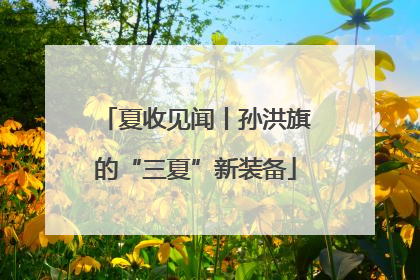 夏收见闻丨孙洪旗的“三夏”新装备