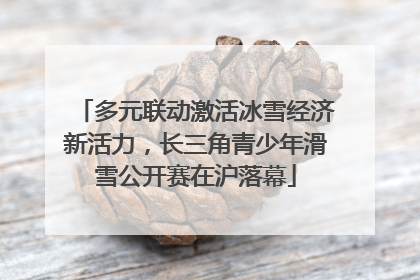多元联动激活冰雪经济新活力，长三角青少年滑雪公开赛在沪落幕