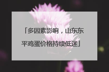 多因素影响，山东东平鸡蛋价格持续低迷