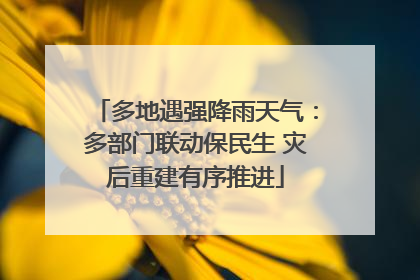 多地遇强降雨天气：多部门联动保民生 灾后重建有序推进