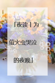 夜读丨为萤火虫哭泣的夜晚
