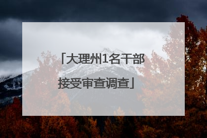 大理州1名干部接受审查调查