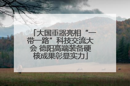 大国重器亮相“一带一路”科技交流大会 德阳高端装备硬核成果彰显实力