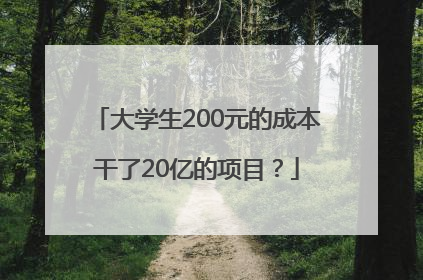 大学生200元的成本干了20亿的项目？