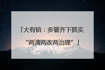 大有镇：多管齐下抓实“两清两改两治理”