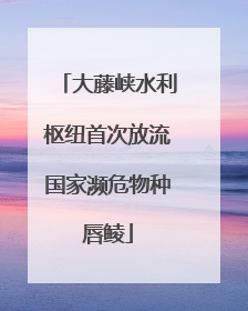 大藤峡水利枢纽首次放流国家濒危物种唇鲮