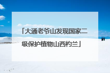 大通老爷山发现国家二级保护植物山西杓兰