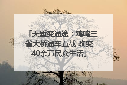 天堑变通途：鸡鸣三省大桥通车五载 改变40余万民众生活