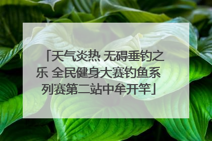 天气炎热 无碍垂钓之乐 全民健身大赛钓鱼系列赛第二站中牟开竿