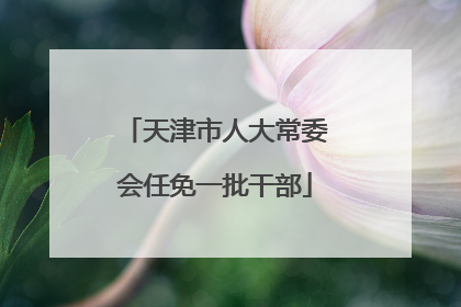 天津市人大常委会任免一批干部