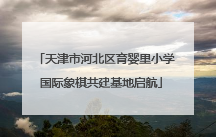 天津市河北区育婴里小学国际象棋共建基地启航