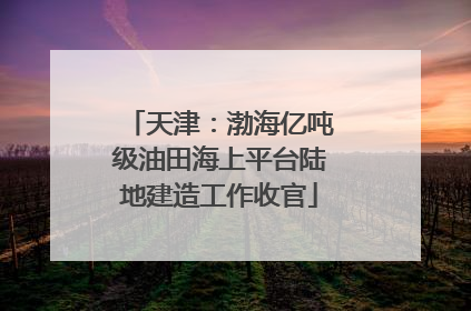天津：渤海亿吨级油田海上平台陆地建造工作收官