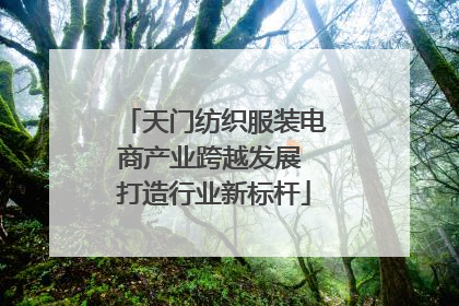 天门纺织服装电商产业跨越发展 打造行业新标杆