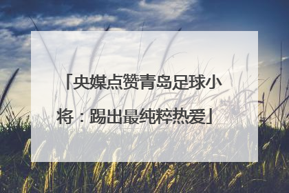 央媒点赞青岛足球小将：踢出最纯粹热爱
