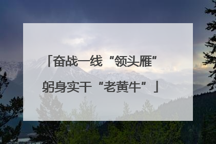 奋战一线“领头雁” 躬身实干“老黄牛”