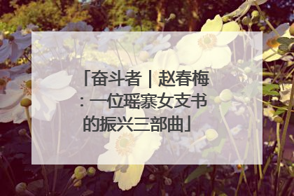 奋斗者｜赵春梅：一位瑶寨女支书的振兴三部曲