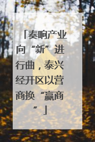 奏响产业向“新”进行曲，泰兴经开区以营商换“赢商”