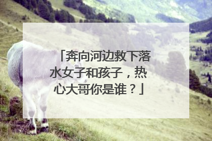 奔向河边救下落水女子和孩子，热心大哥你是谁？