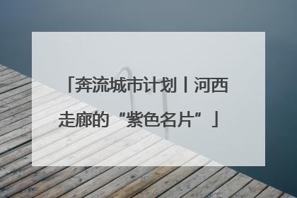 奔流城市计划丨河西走廊的“紫色名片”