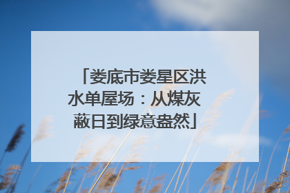 娄底市娄星区洪水单屋场：从煤灰蔽日到绿意盎然
