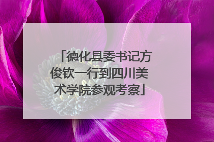 德化县委书记方俊钦一行到四川美术学院参观考察