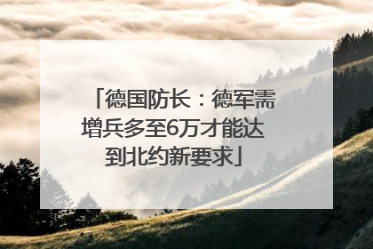德国防长：德军需增兵多至6万才能达到北约新要求
