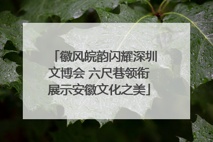 徽风皖韵闪耀深圳文博会 六尺巷领衔展示安徽文化之美