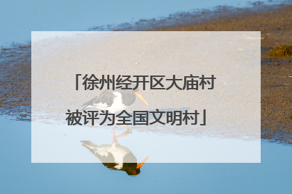 徐州经开区大庙村被评为全国文明村