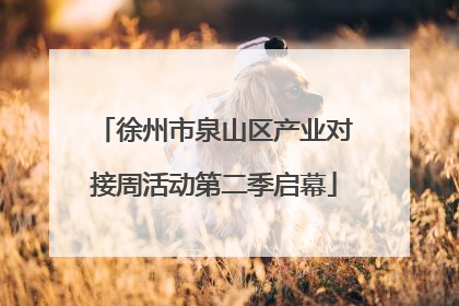 徐州市泉山区产业对接周活动第二季启幕