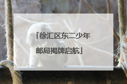 徐汇区东二少年邮局揭牌启航