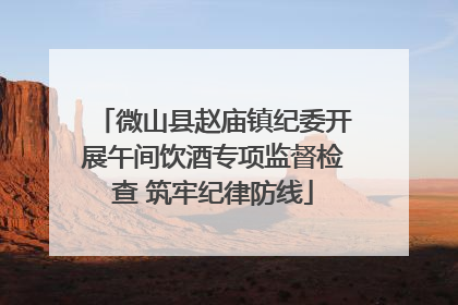微山县赵庙镇纪委开展午间饮酒专项监督检查 筑牢纪律防线