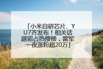 小米自研芯片、YU7齐发布！相关话题霸占热搜榜，雷军一夜涨粉超20万