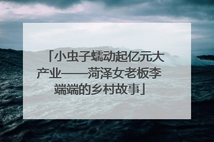 小虫子蠕动起亿元大产业——菏泽女老板李端端的乡村故事