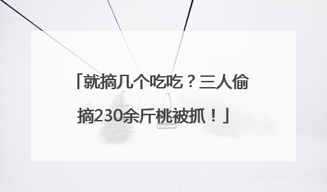 就摘几个吃吃？三人偷摘230余斤桃被抓！
