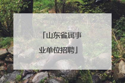 山东省属事业单位招聘