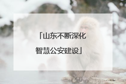 山东不断深化智慧公安建设