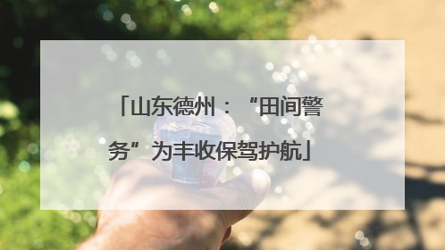 山东德州：“田间警务”为丰收保驾护航