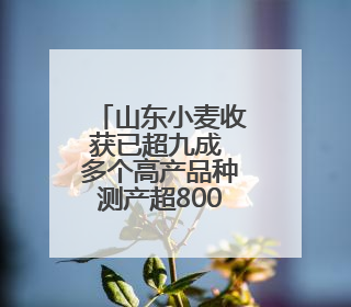 山东小麦收获已超九成 多个高产品种测产超800公斤