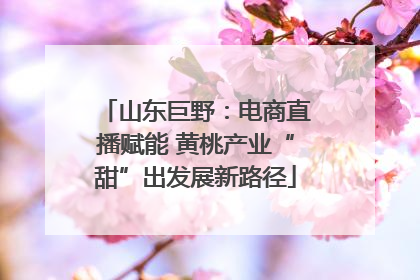山东巨野：电商直播赋能 黄桃产业“甜”出发展新路径