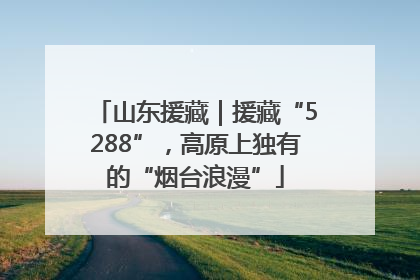 山东援藏｜援藏“5288”，高原上独有的“烟台浪漫”