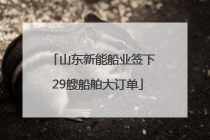 山东新能船业签下29艘船舶大订单