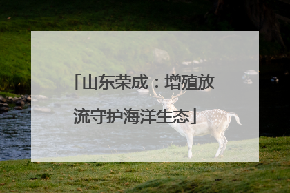 山东荣成：增殖放流守护海洋生态