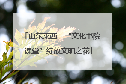 山东莱西：“文化书院课堂”绽放文明之花