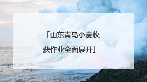 山东青岛小麦收获作业全面展开