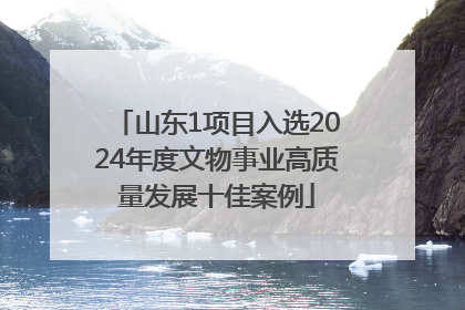 山东1项目入选2024年度文物事业高质量发展十佳案例