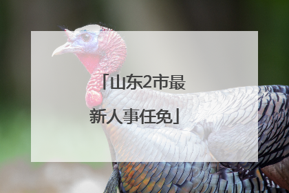 山东2市最新人事任免